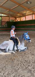 Cavallo
