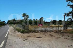 Terreno Residenziale Pastorano