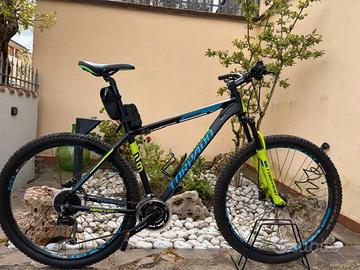 MTB TORPADO MERCURY  T-720 24V | MTB Hardtail 29”