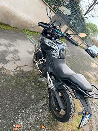 Cf moto mt