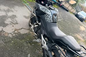 Cf moto mt