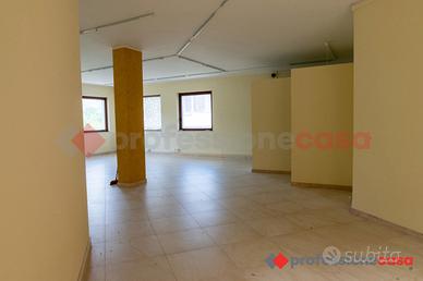 Negozio Anagni [Cod. rif 3154578ACG]