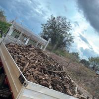 Legna stagionata