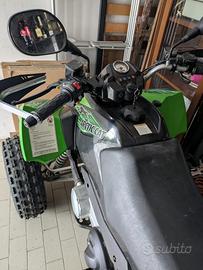 Ritirato oggi artic cat 300dvx