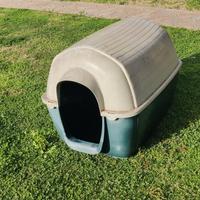 cuccia cane