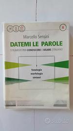 Libro di grammatica italiana