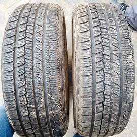 Coppia pneumatici invernali  Nexen 205/60R15 91