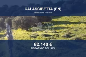 Immobile in asta di 132678 m² a Calascibetta