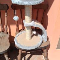 gioco x Gatto
