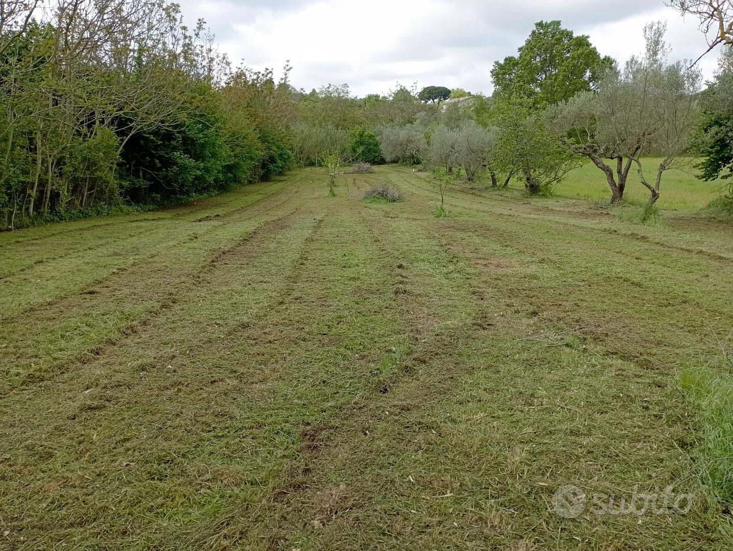 Terreno 3360 mq a Viterbo - Vista 5