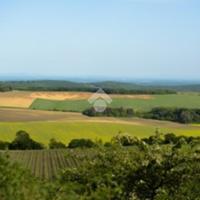TERRENO A SAN BIAGIO DI CALLALTA