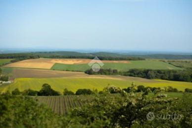 TERRENO A SAN BIAGIO DI CALLALTA