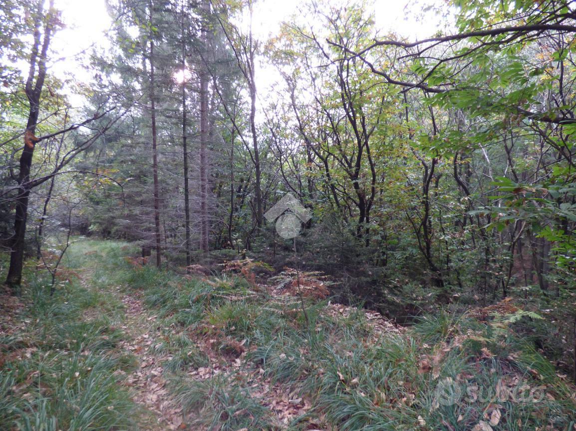 TER. AGRICOLO A OMEGNA - Vista 2