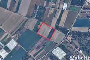 Terreno Agricolo Pomigliano d'Arco