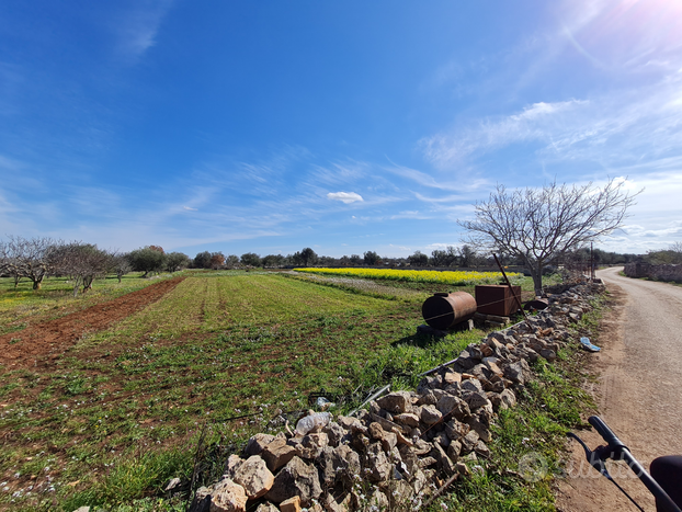 Terreno agricolo