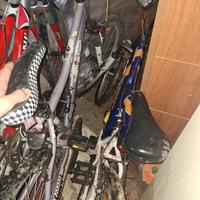 3 biclette in perfette condizioni 