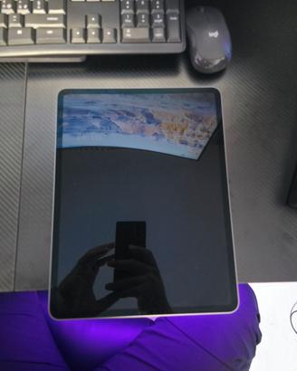 Ipad Pro 256GB 5ª gen.