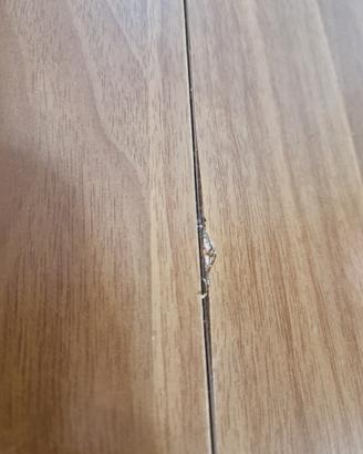 Tavolo in legno allungabile/tavolo da pranzo  