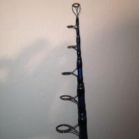 Coppia canne Mitchell avosea wind surfcasting