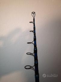 Coppia canne Mitchell avosea wind surfcasting