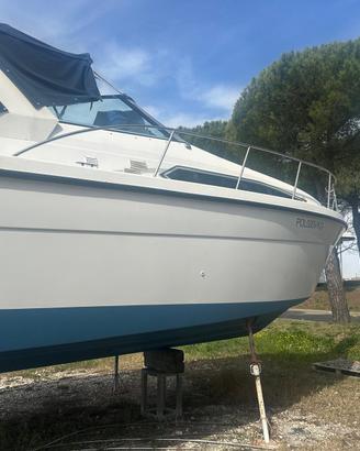BARCA A MOTOE THOMPSON345