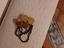 Immagine 5