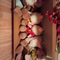 Collezione 7 nani disney peluches