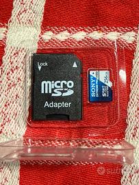 Scheda di memoria microSDXC Sony Extreme Pro 256gb