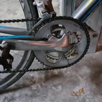 Bici da corsa specialized Allez Elite taglia 56