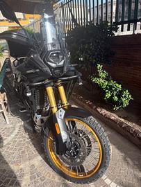 Voge 800 rally