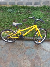 bicicletta 6/9anni
