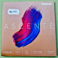 D'ADDARIO ASCENTE' CORDE PER VIOLINO 4/4 MEDIUM