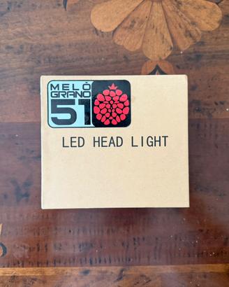 Led auto Melograno51 MV9R
