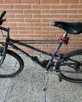 Bicicletta mountain bike