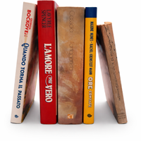 Mix di 5 libri di narrativa vintage