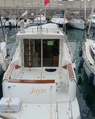 Sessa Dorado 36 Fly