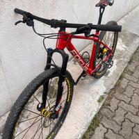 Focus Raven carbonio 29 Tg.M