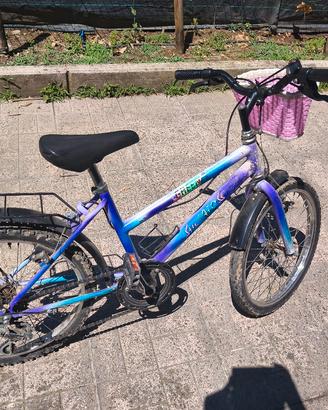 Bicicletta per Bambina 7/10 anni