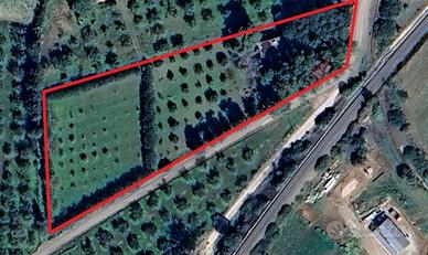 Casa indipendente con ampio terreno