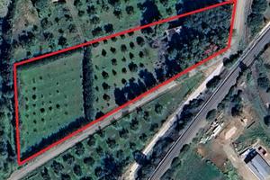 Casa indipendente con ampio terreno