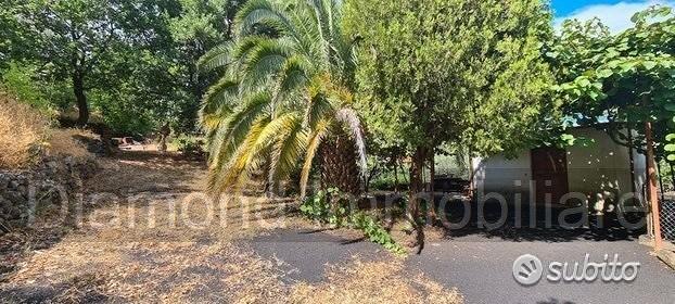 Terreno agricolo 3.800 mq panoramico a san gerardo - Altro
