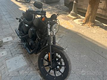 883 sportster