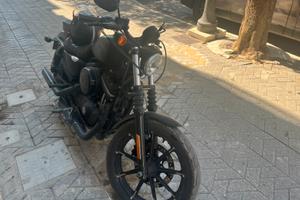 883 sportster