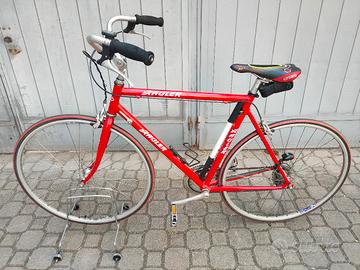 bicicletta corsa Rauler bici Dedacciai Campagnolo 