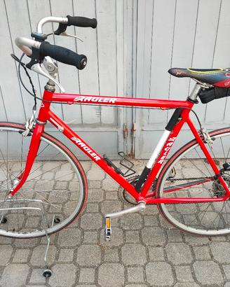 bicicletta corsa Rauler bici Dedacciai Campagnolo 