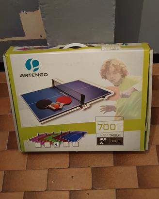 ping pong da tavolo