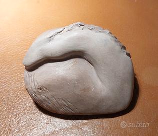 Terracotta Elena Cifiello 