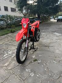 Beta rr 50