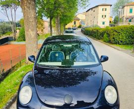VOLKSWAGEN New Beetle - 2001