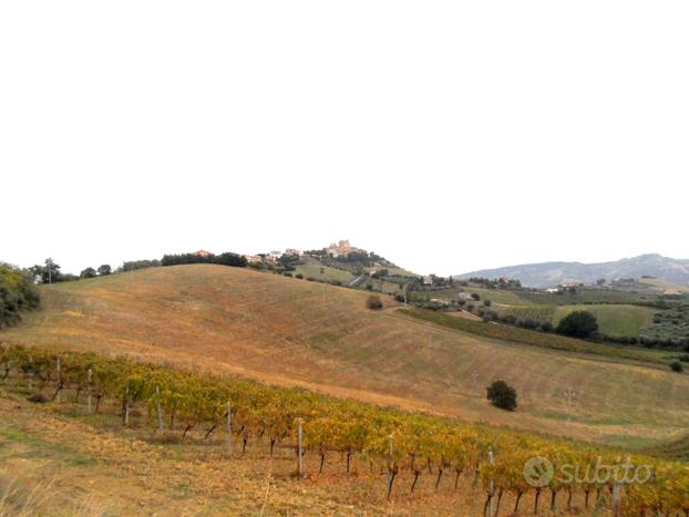 Terreno Agricolo - Monteprandone